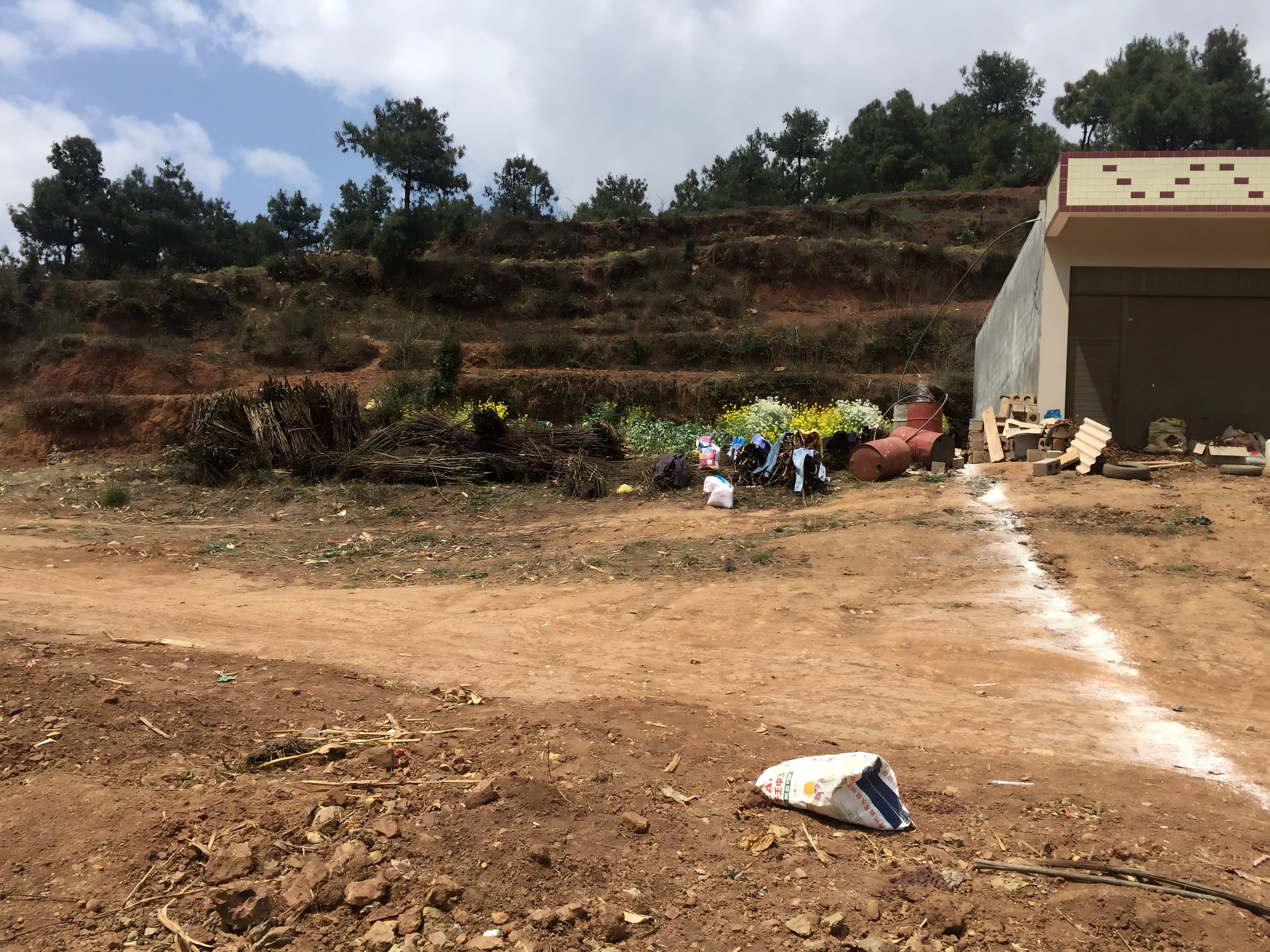 1764558671374687.jpg IMG_9478(1).jpg