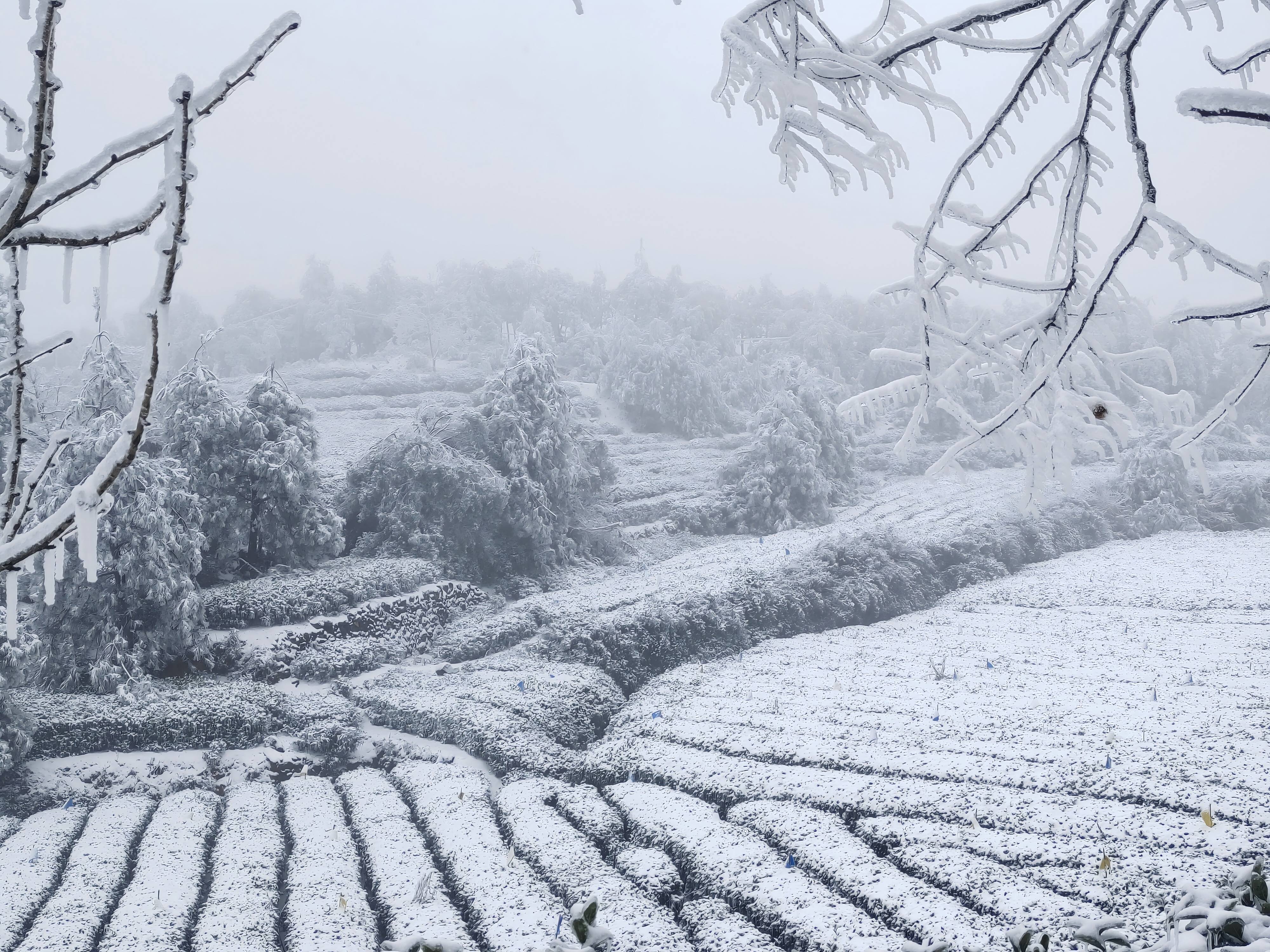 1764560058981524.jpg 微信图片_20251201113144_1595_9.jpg