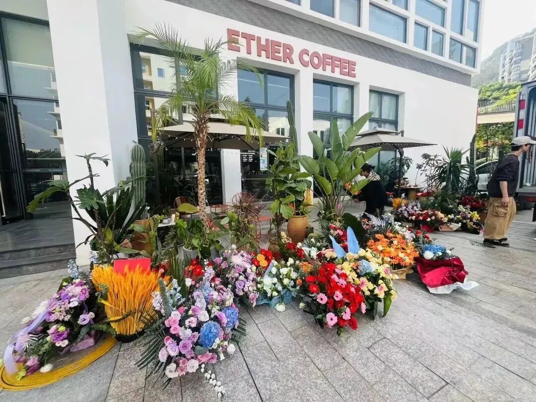 1764576626876374.jpg dcafb73548a1c21debd9e8c07b8c3b0e.jpg